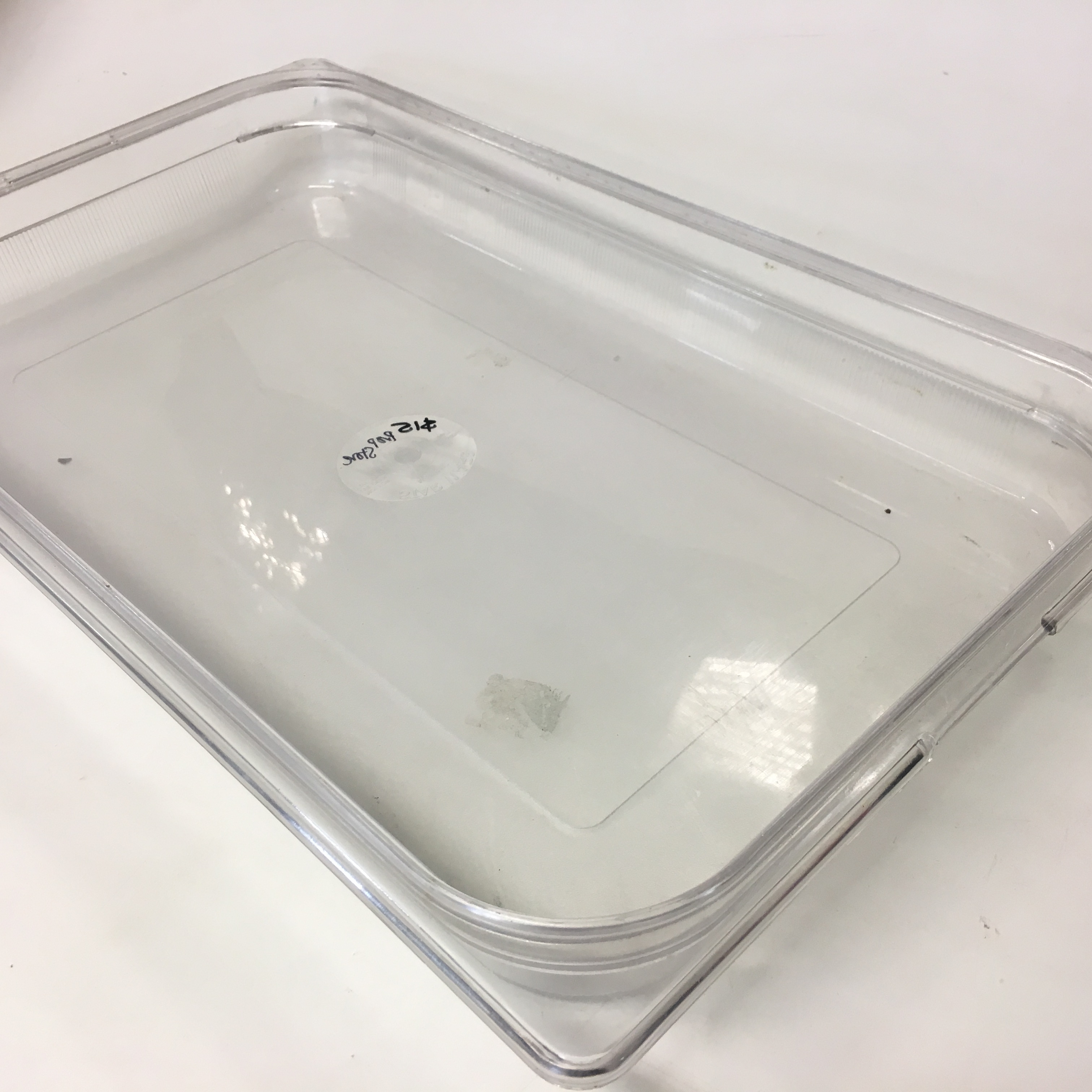 FOOD CONTAINER or TRAY, Clear Catering Style